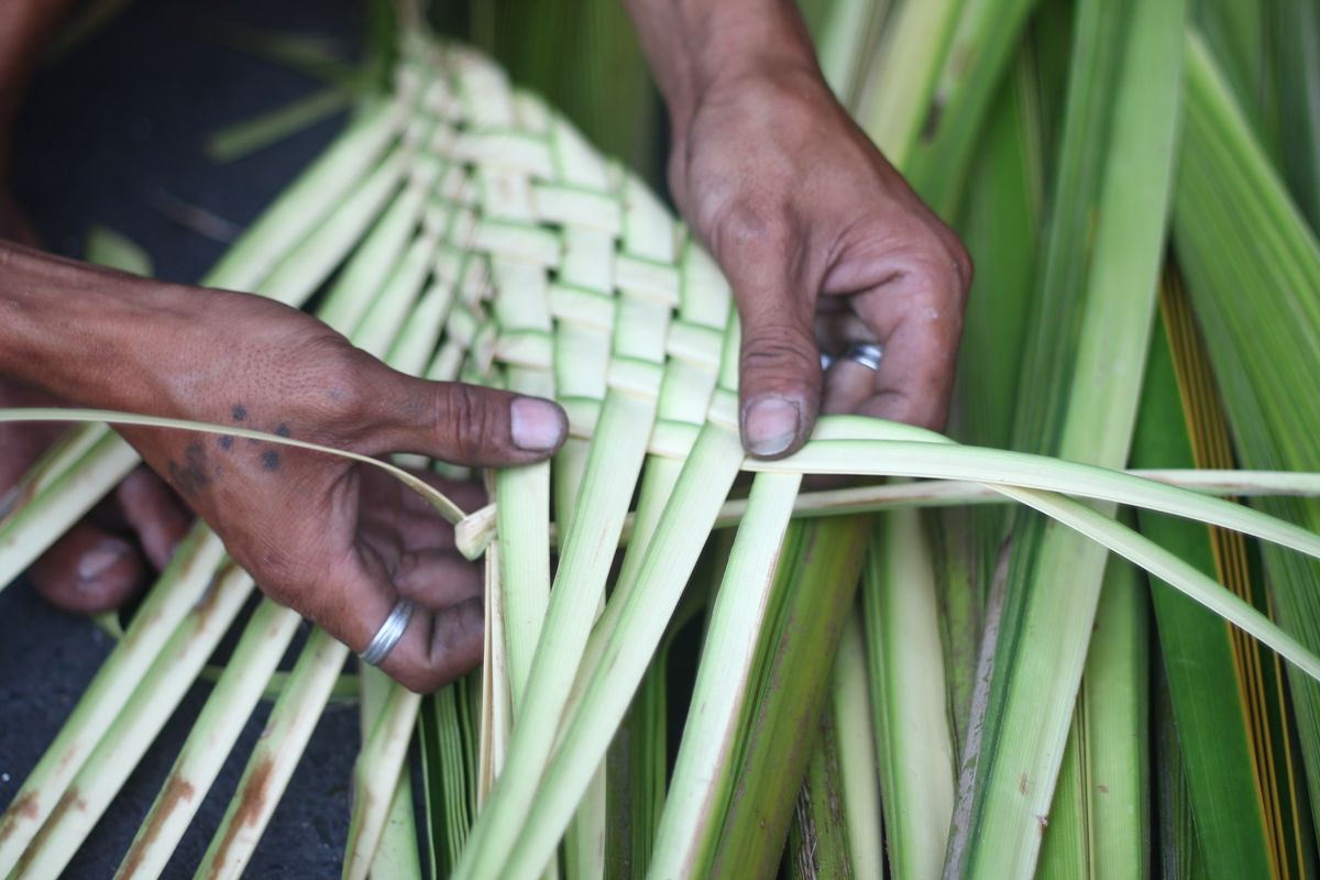 Hands weaving palm leaves, traditional palm frond craft and khous work