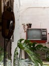 Vintage TV and Retro Decor in Indoor Setting