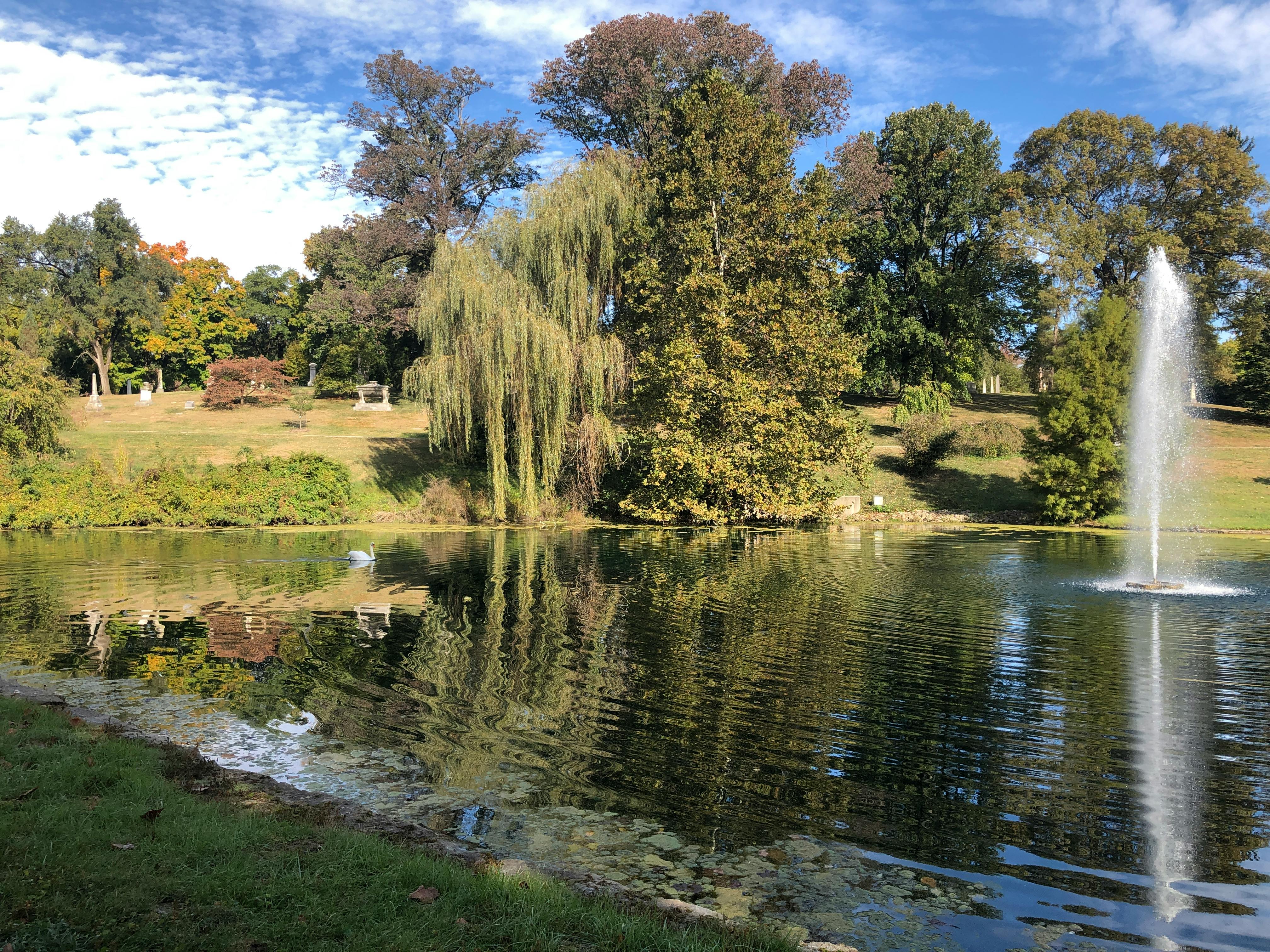 pexels-photo-3192609.jpeg?auto\u003dcomp