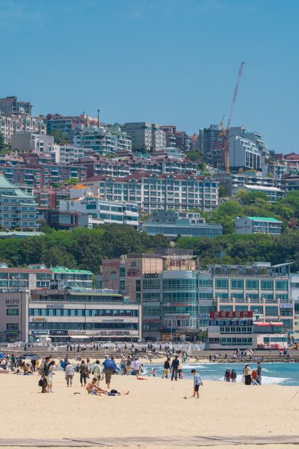 Busan: Lebih dari Sekadar Pantai Haeundae Busan: Lebih dari Sekadar Pantai Haeundae