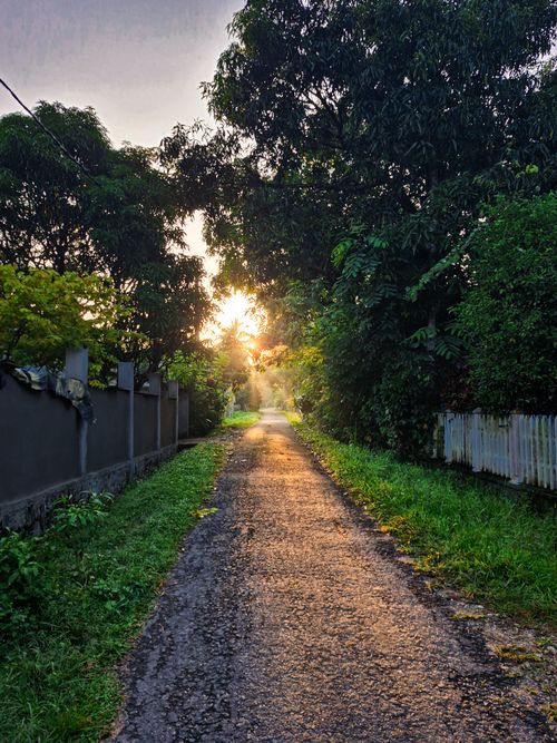 Free Sunlight pouring  Stock Photo