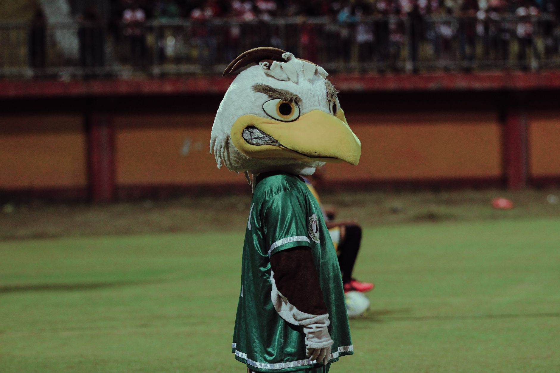Eagle mascot on the field during a football game in Bangkalan, East Java.