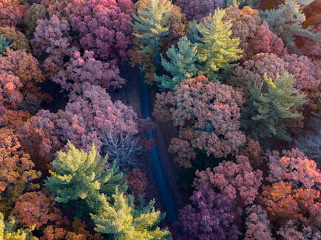 航拍镜头捕捉到了密歇根州里奇菲尔德镇秋叶的美丽与活力