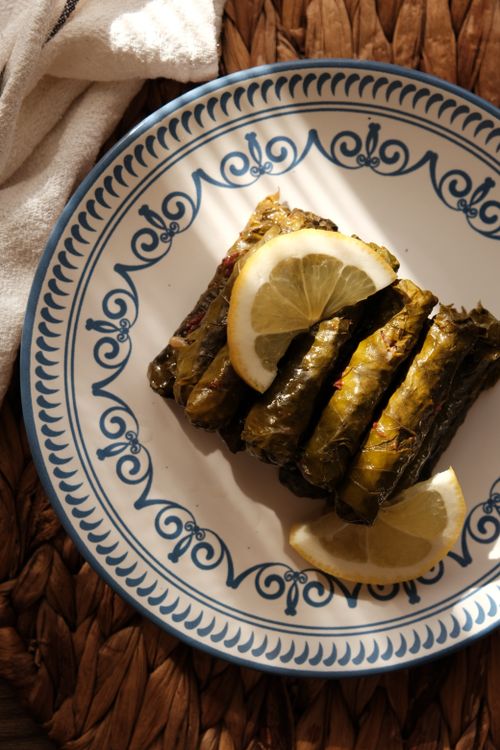 Free Savory stuffed grape leaves served on a decorative plate with lemon slices. Stock Photo