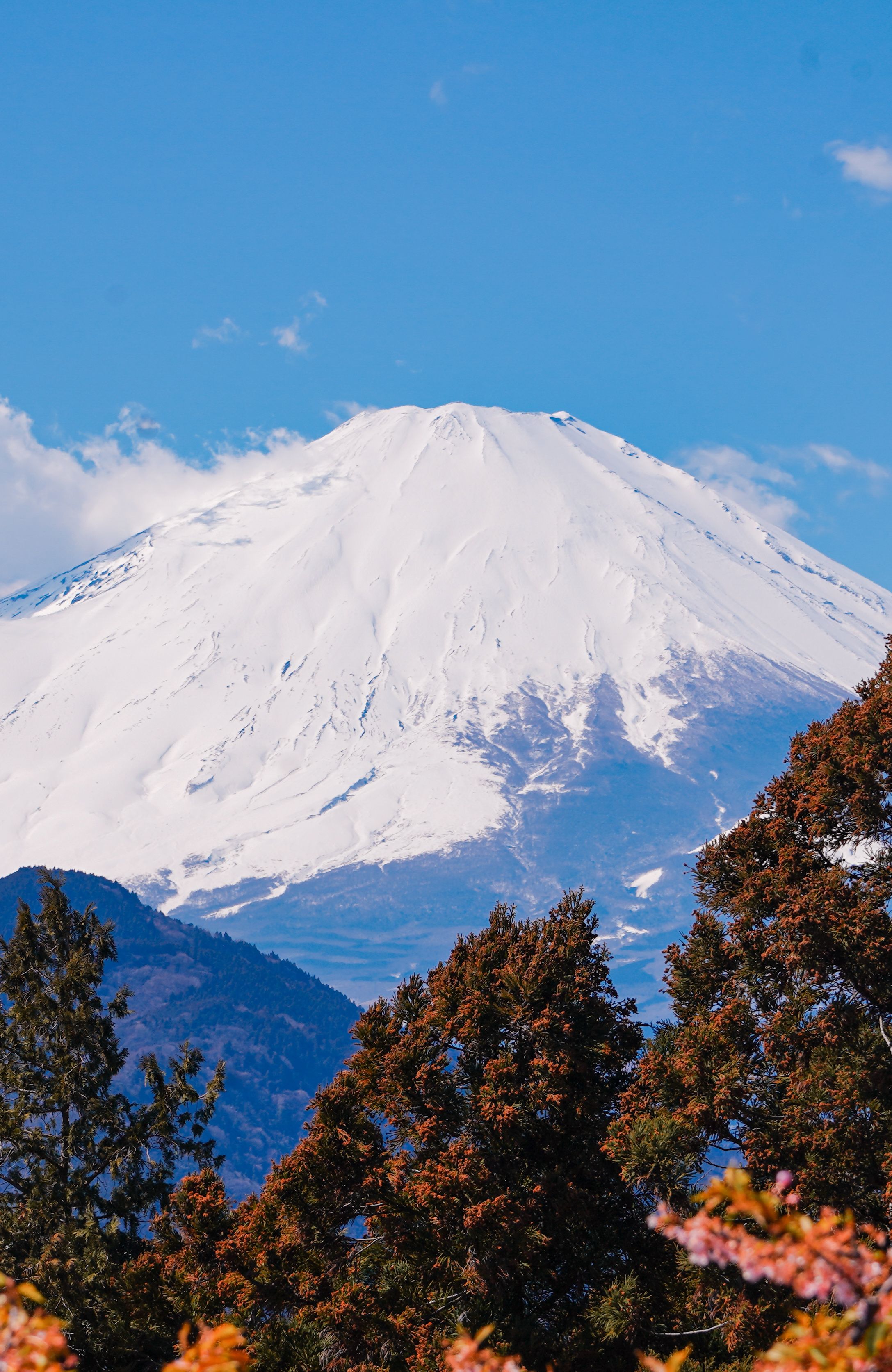 日本风景 Photos, Download The BEST Free 日本风景 Stock Photos & HD