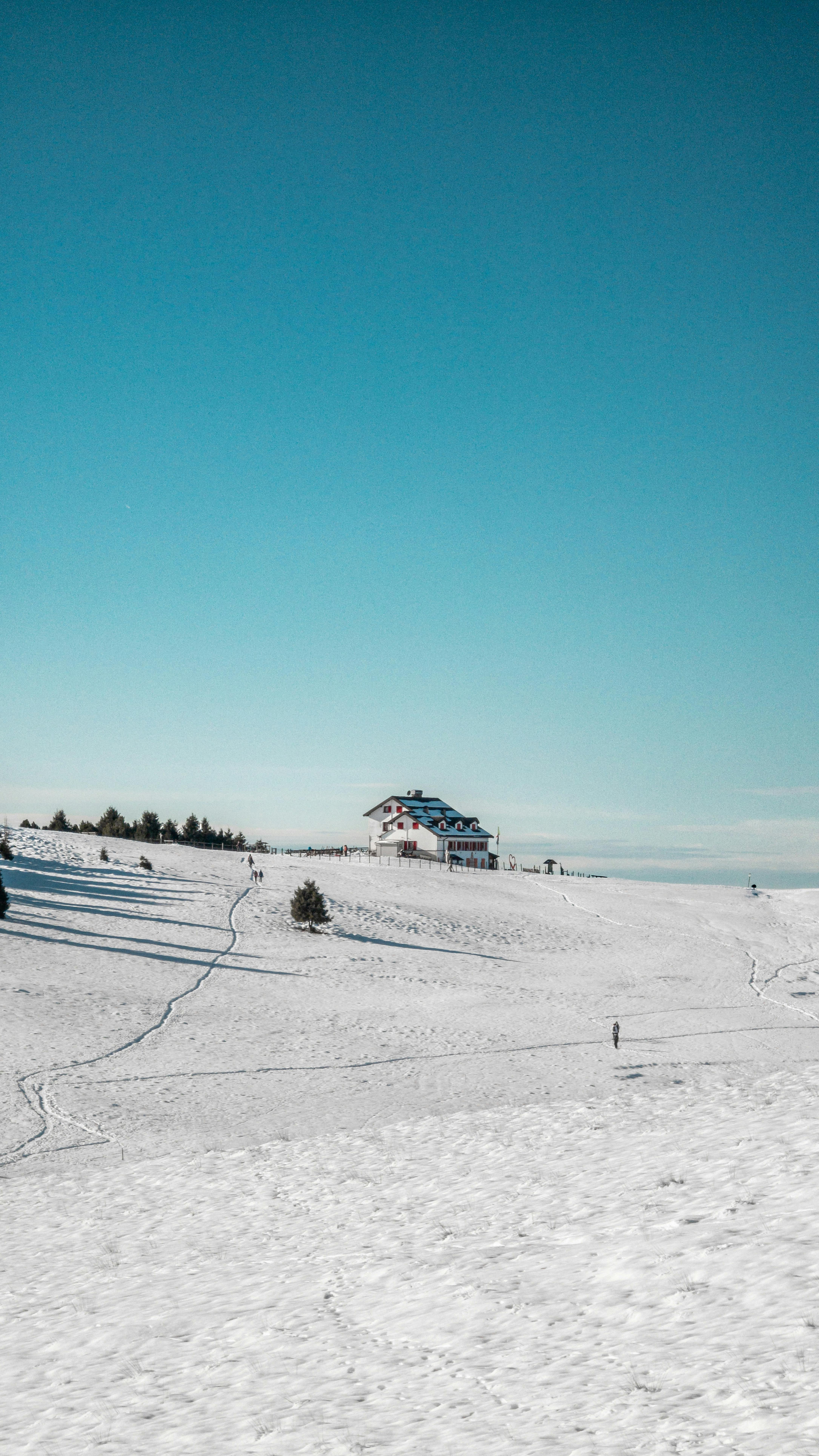 三星電選四倍十期爆紅！最後一天別錯過！🎉
