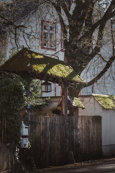 A rustic wooden gate with a moss-covered roof, set against a vintage-style building in an outdoor setting.
