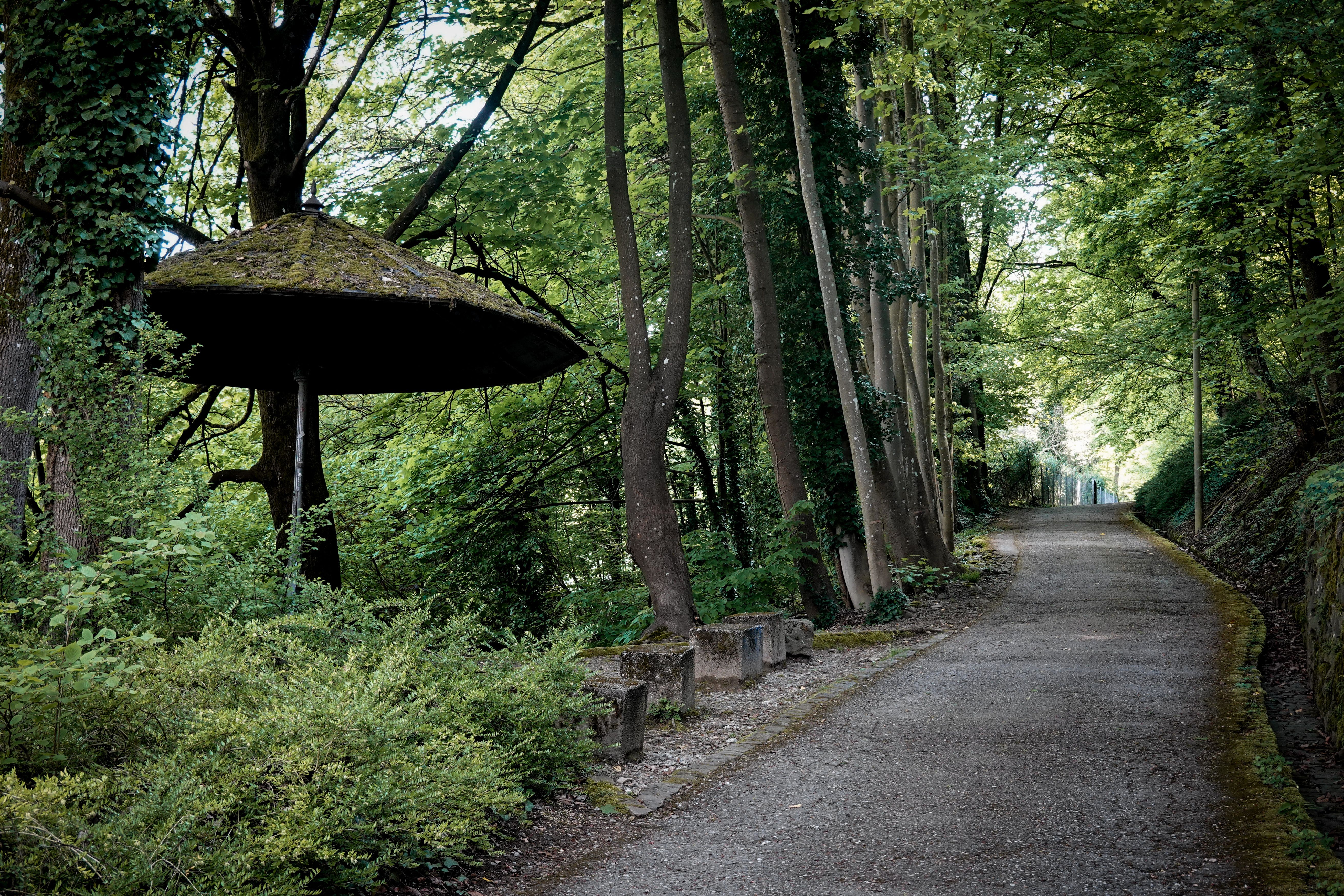 Arboreto di Arco (Parco Arciducale)