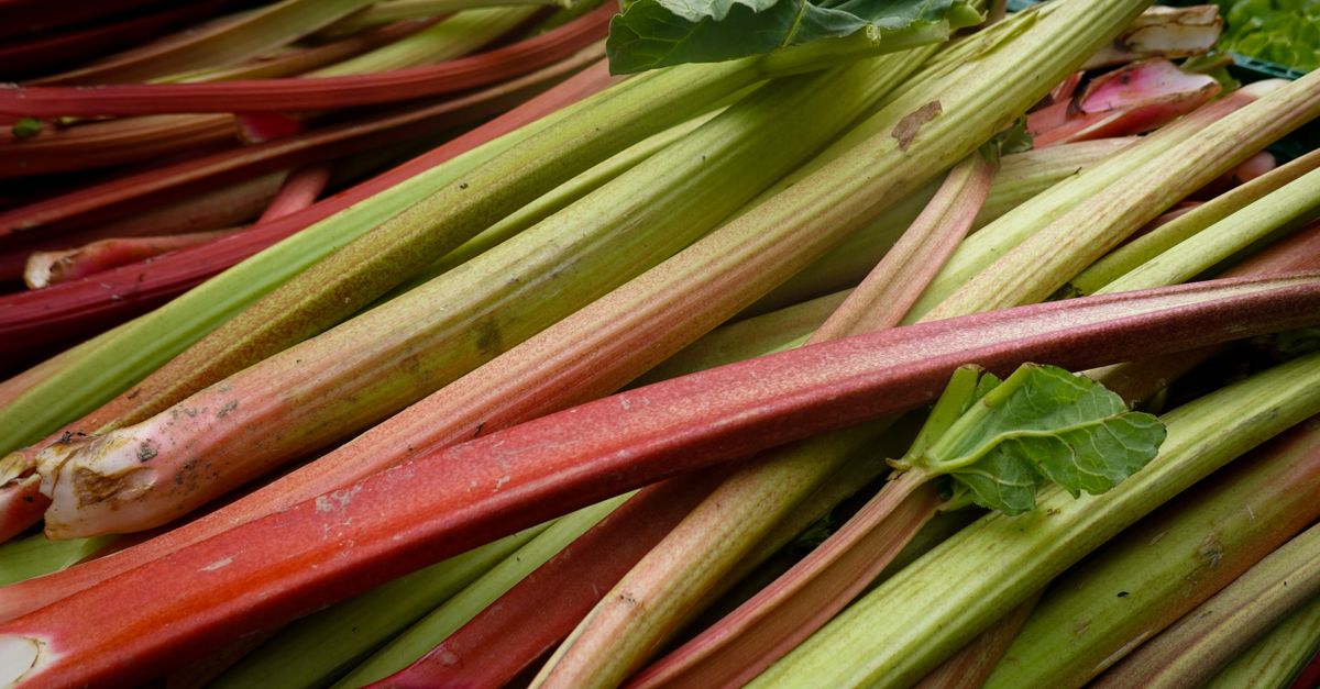 Vibrant and fresh rhubarb stalks displayed at a market, showcasing natural colors and textures. - Evidence evidence guide for rhubarb constipation randomized trial