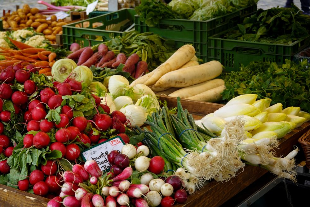 Fresh vegetables at a farm stand display
