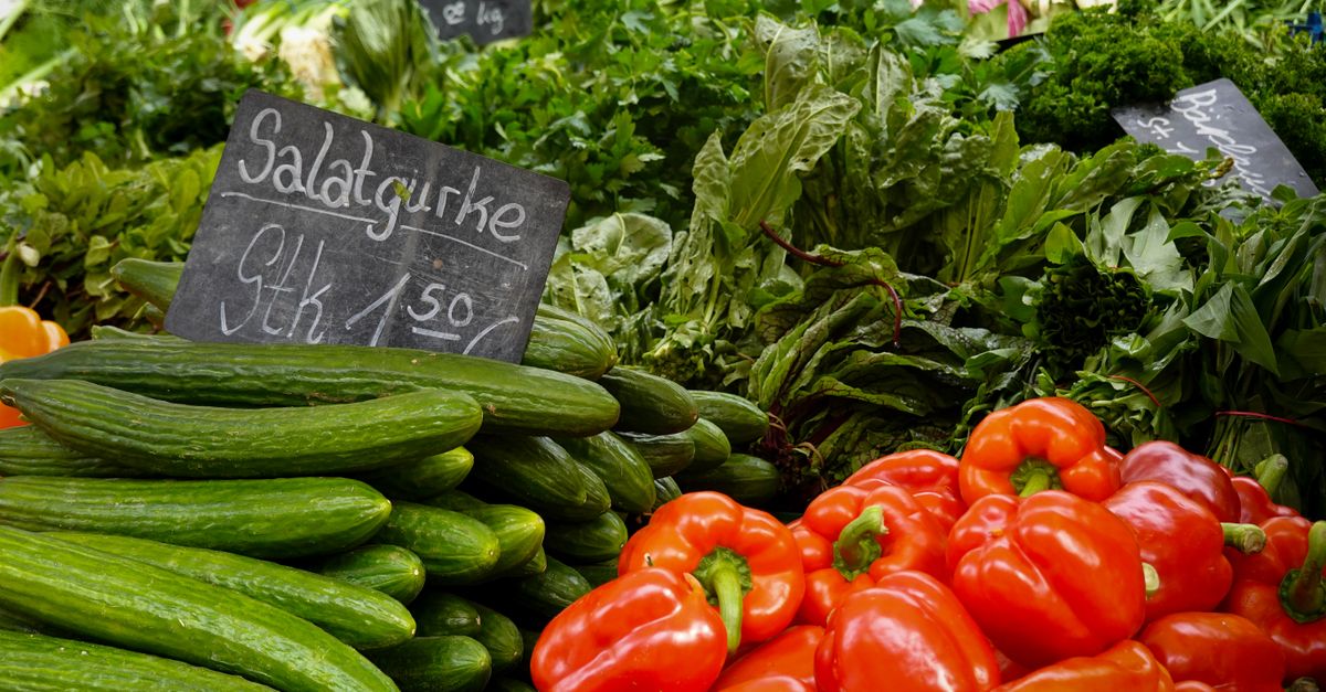 Promoting fresh food diets to counter childhood obesity in India