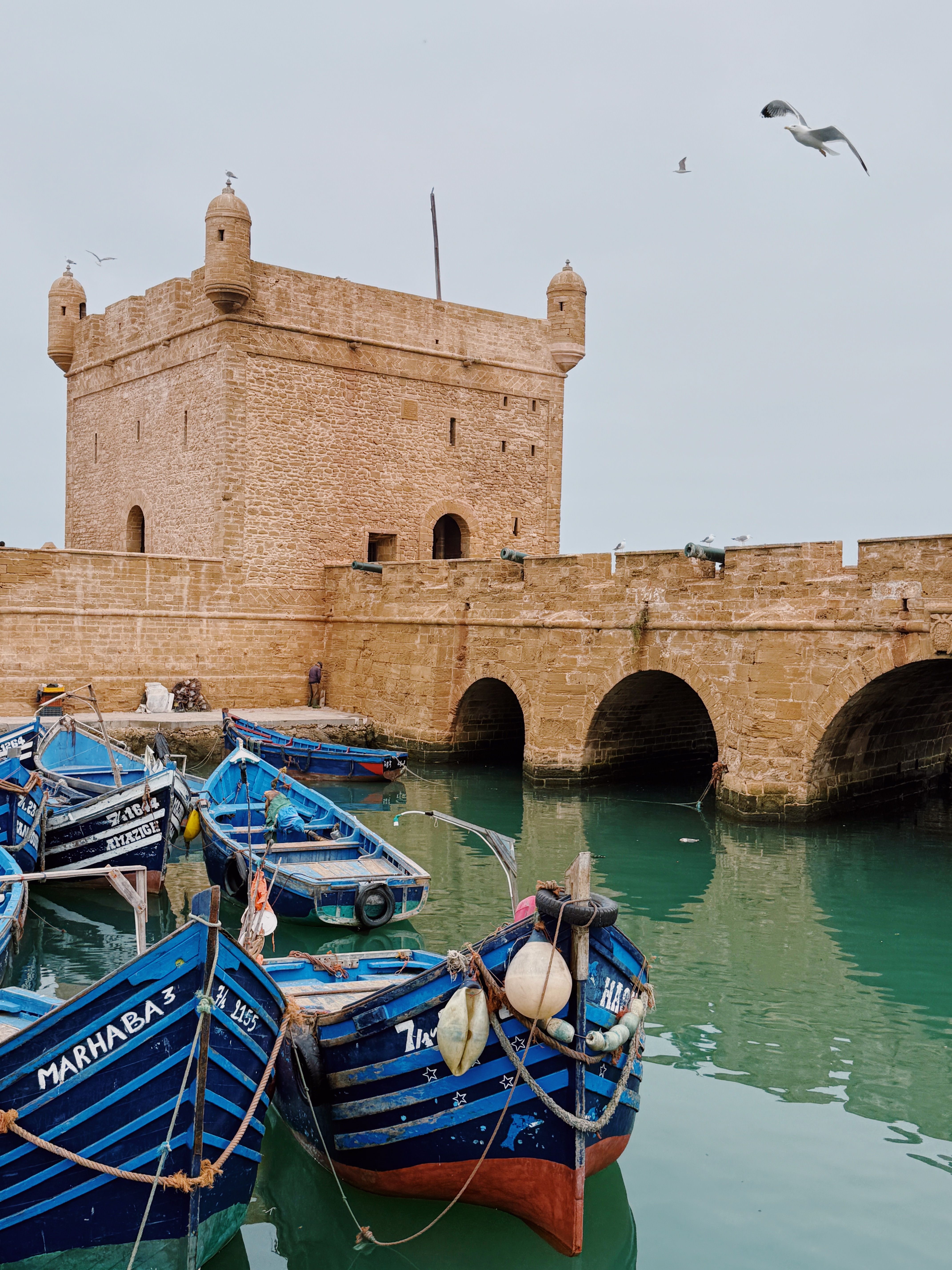 Essaouira Atlantic coast in Morocco