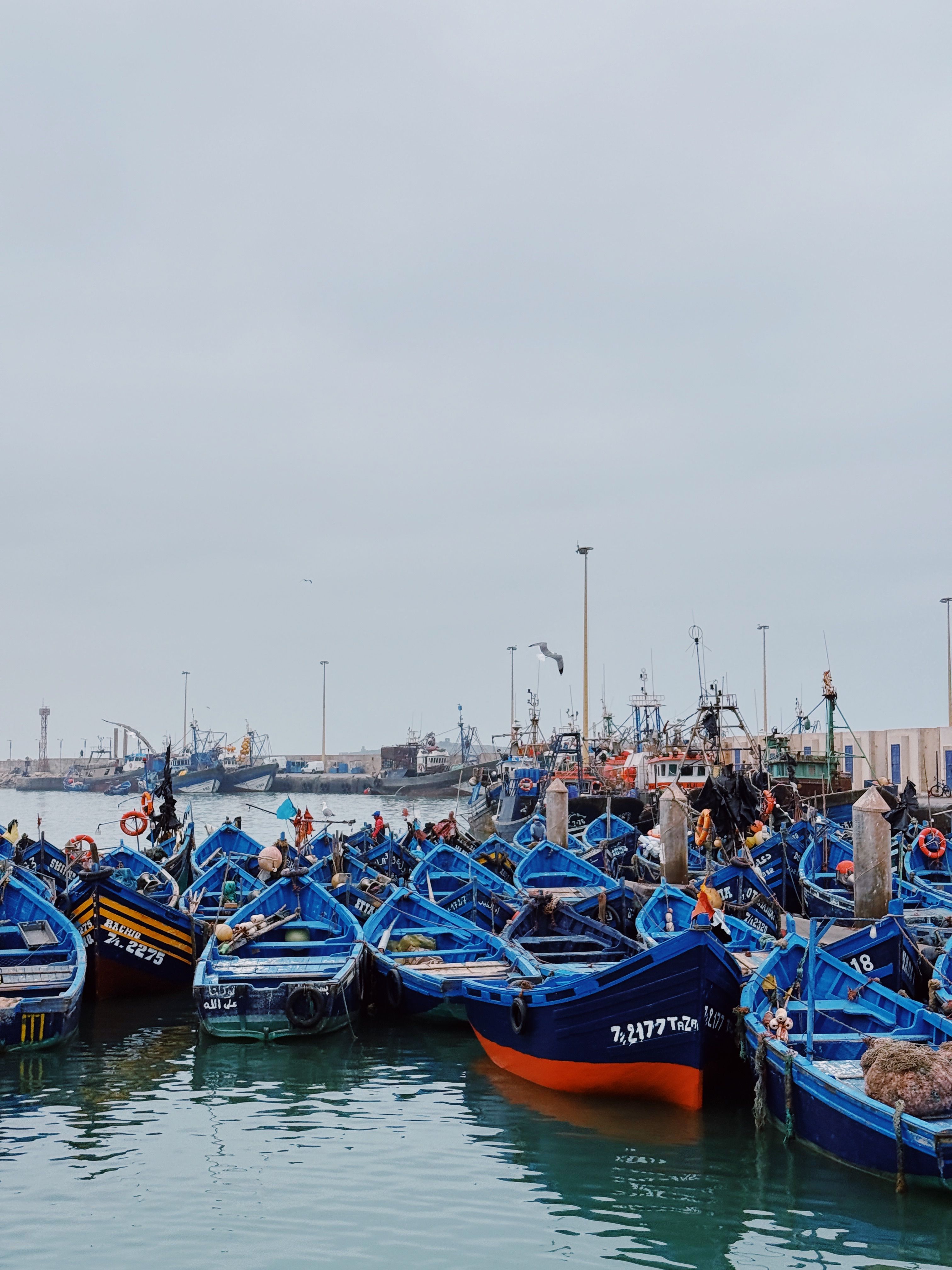 Vibrant Blue Boats Docked at Bustling Harbor · Free Stock Photo