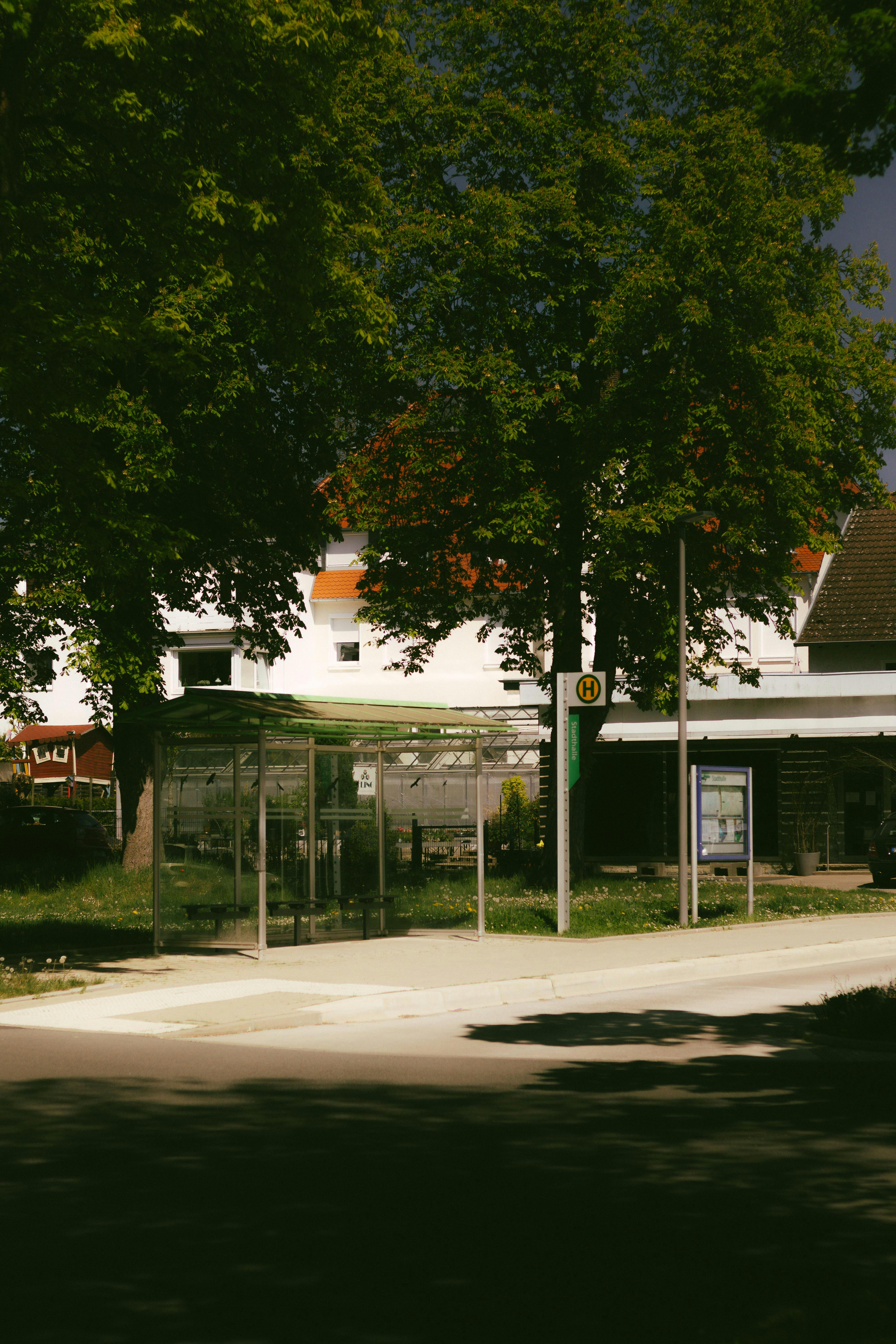 ingyenes Egy derűs buszmegálló jelenet egy nyilvános parkban, lágy természetes fénnyel és buja növényzettel. Stockfotó