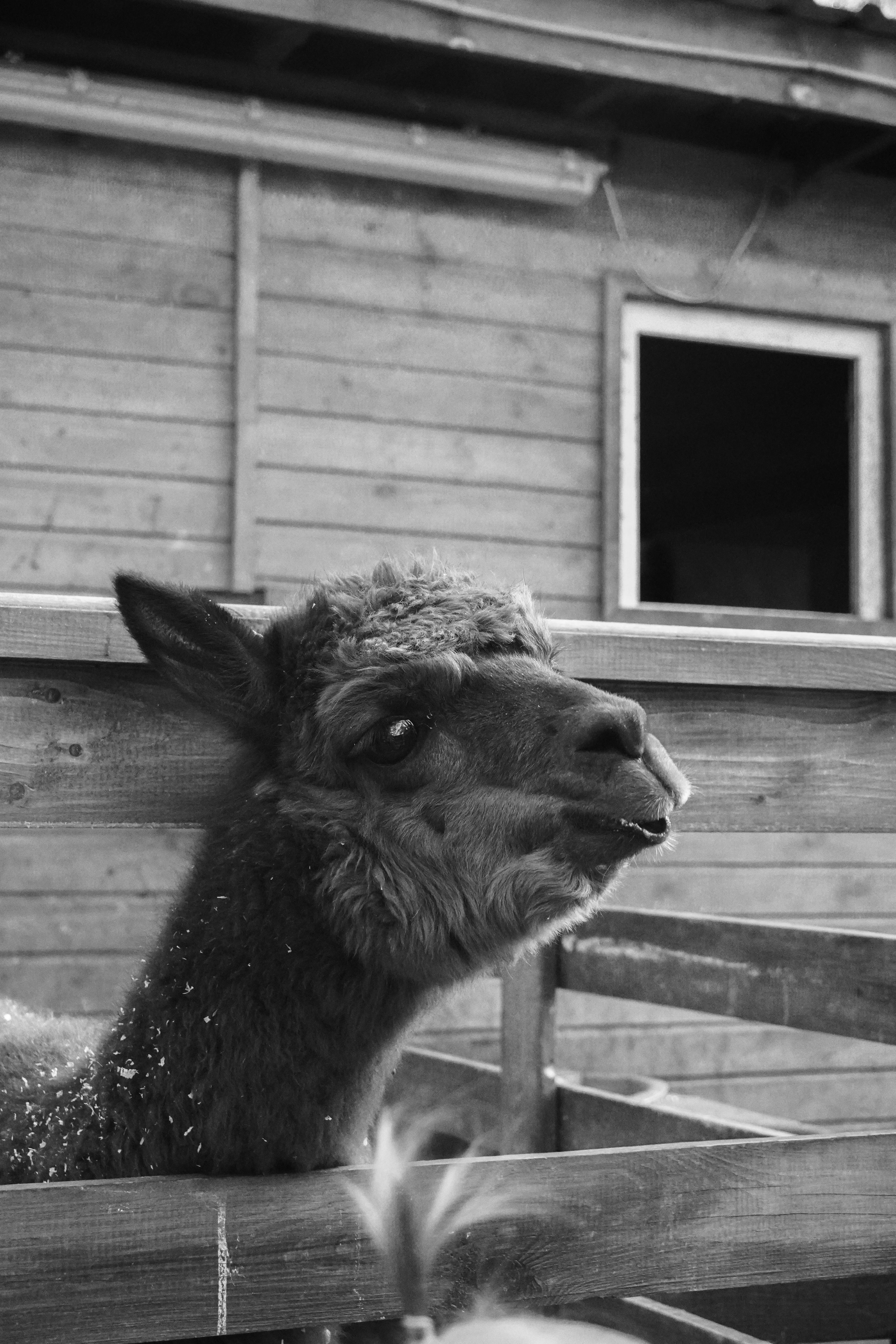 Unwanted Cum In Mouth Photos, Download The BEST Free Unwanted Cum In Mouth Stock Photos & HD Images