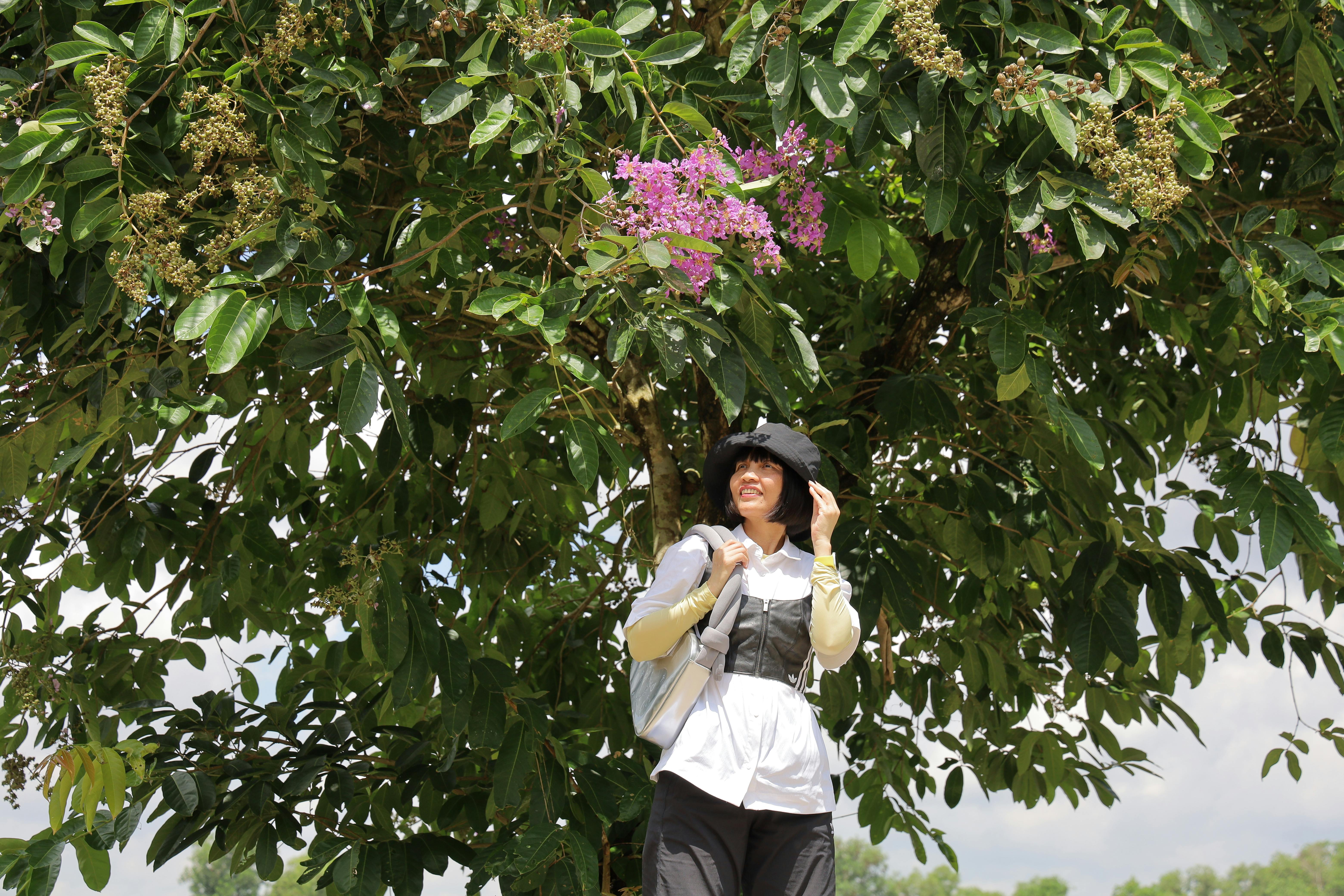 Horticulturist Abra Lee brings Black gardening history to Cleveland event — Photo by thAnh nguyễn on Pexels