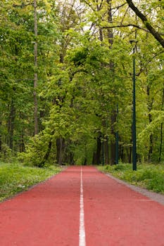 Peaceful running path through lush green forest in Kyiv, perfect for fitness enthusiasts and nature lovers.