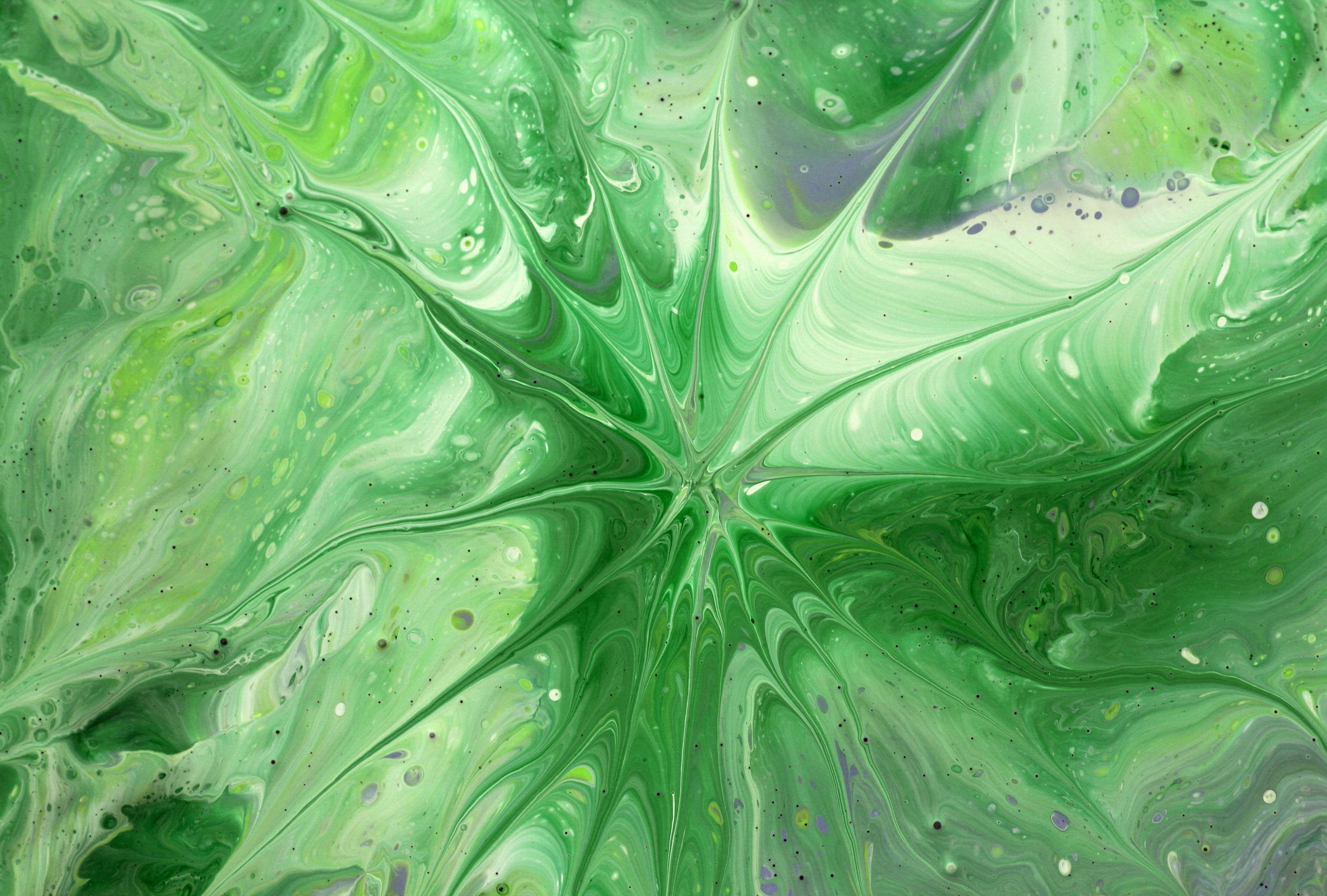 Vibrant Abstract Green Paint Swirl Design · Free Stock Photo
