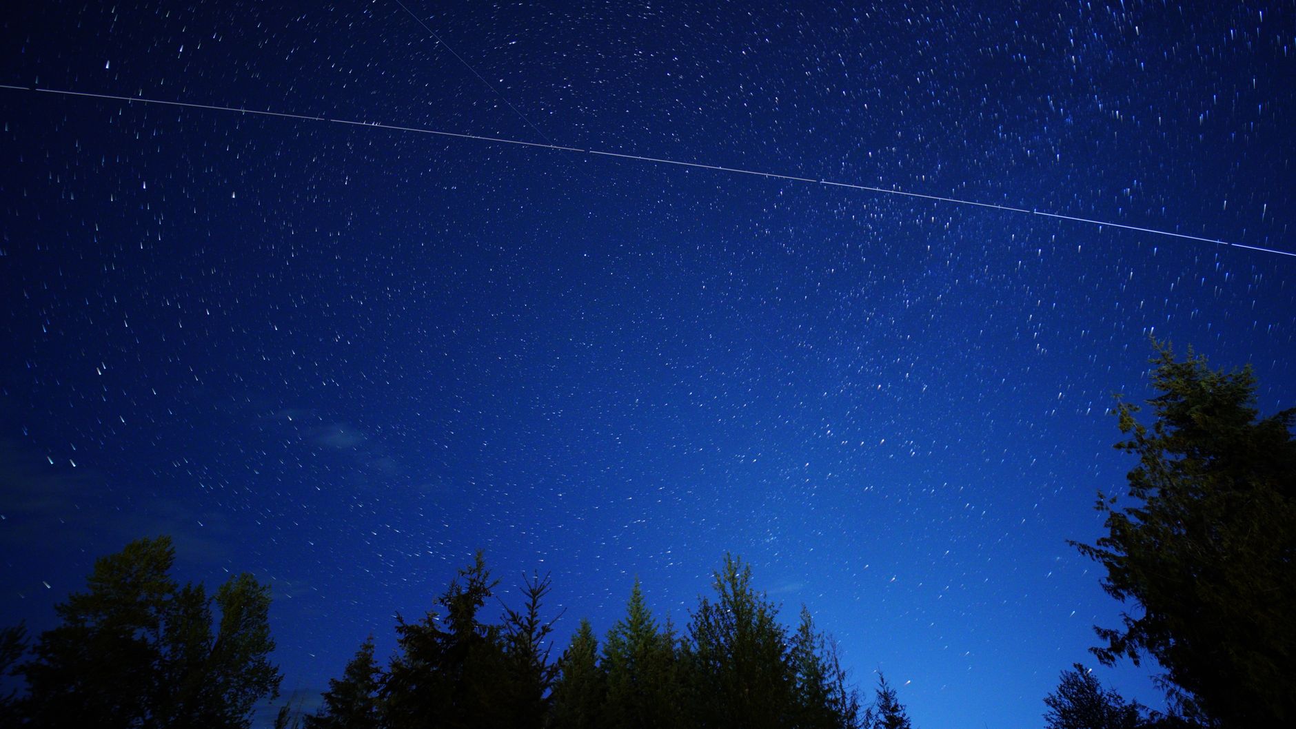Long exposure of a starry night sky featuring light trails above a silhouette of trees.