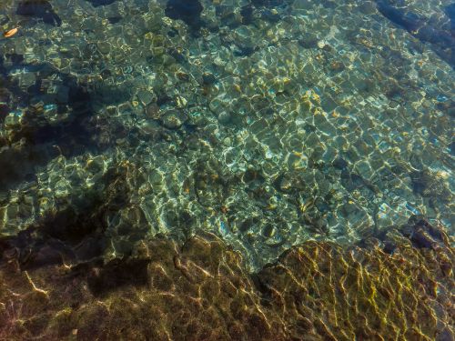Free Close-up of clear water revealing a rocky bed, showcasing natural textures and sunlight reflections. Stock Photo