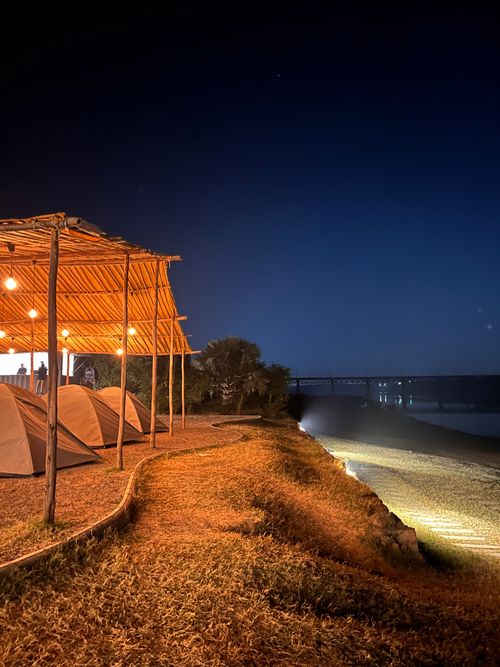 Free Night With Nature Stock Photo