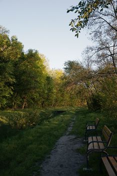 Peaceful wooded path with benches in a Hungarian forest at sunset.
