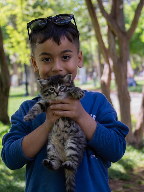 Free Adorable child holding a fluffy kitten outdoors under sunny trees, evoking joy and innocence. Stock Photo