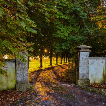 Fall in Ireland