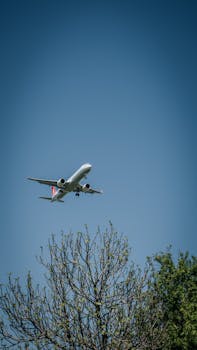 A commercial airplane soars above tree branches under a clear blue sky, depicting travel.