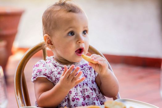 Baby Toddler Biscuit