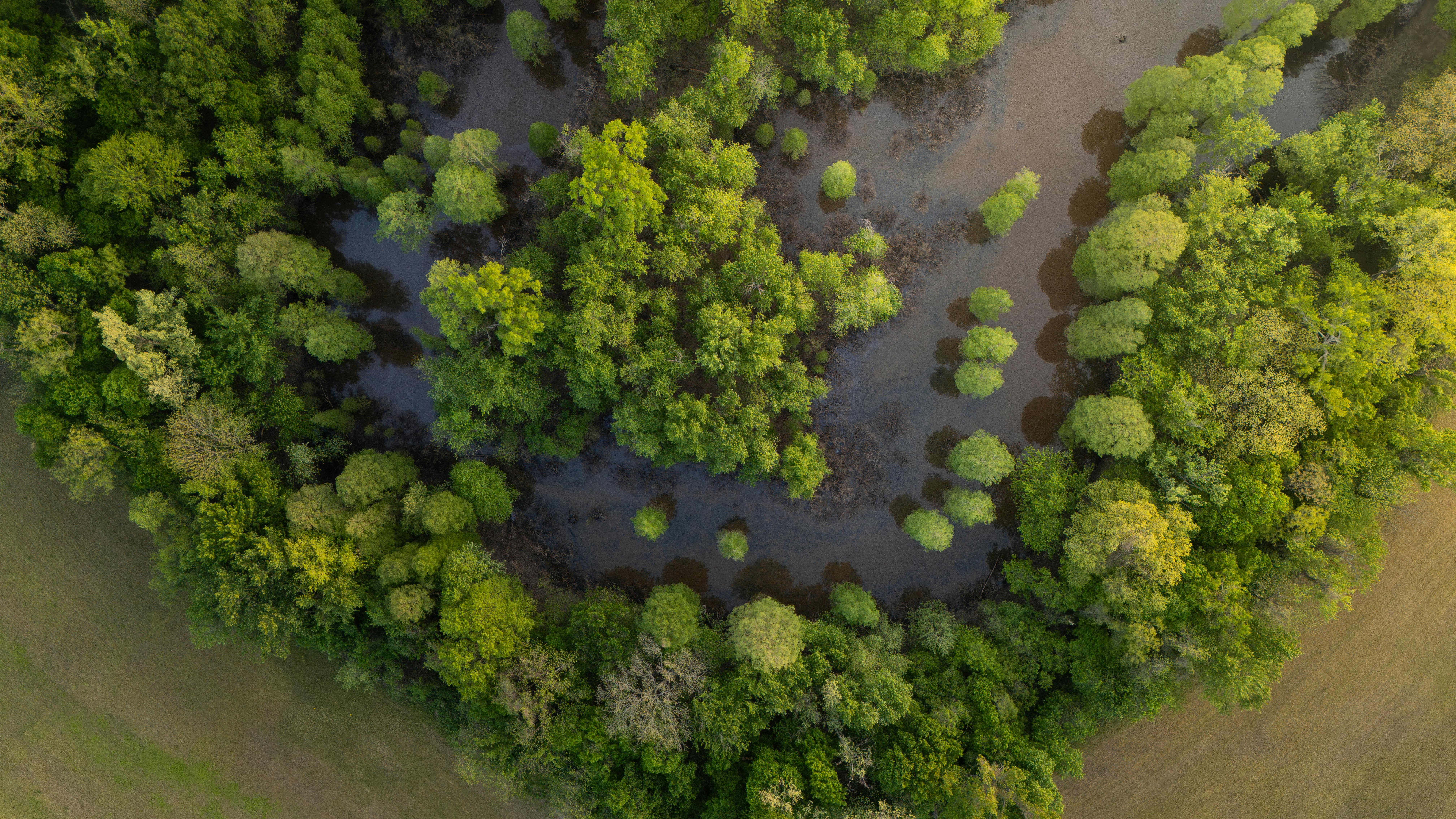 New Jersey Department of Environmental Protection | Sea Level Rise — Photo by Sam McCool on Pexels