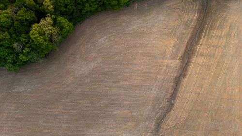 Free Stunning drone shot of an agricultural field bordering lush green forest. Stock Photo