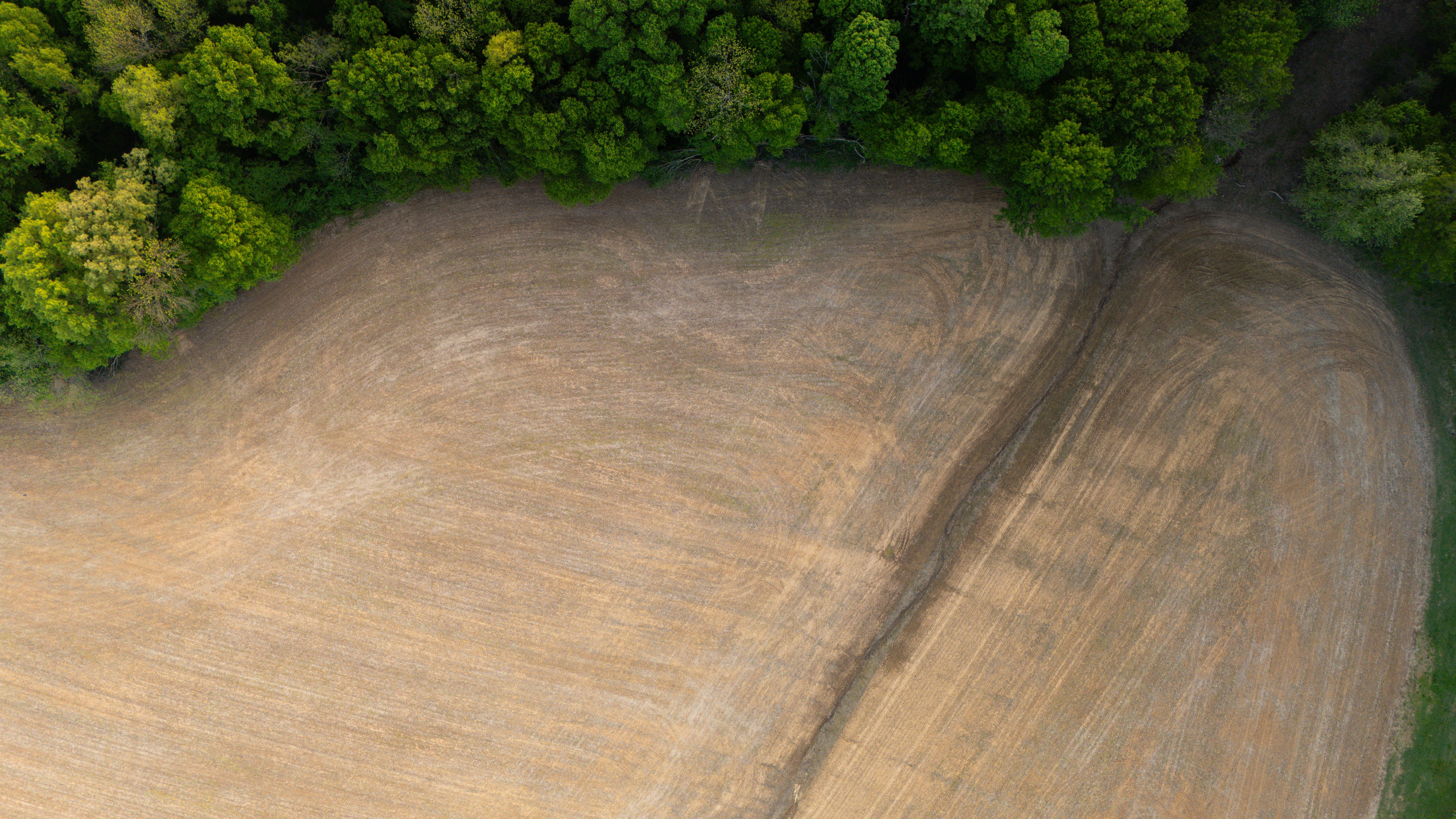 Vue Aérienne De La Lisière De La Forêt Et Du Champ Labouré · Photo gratuite