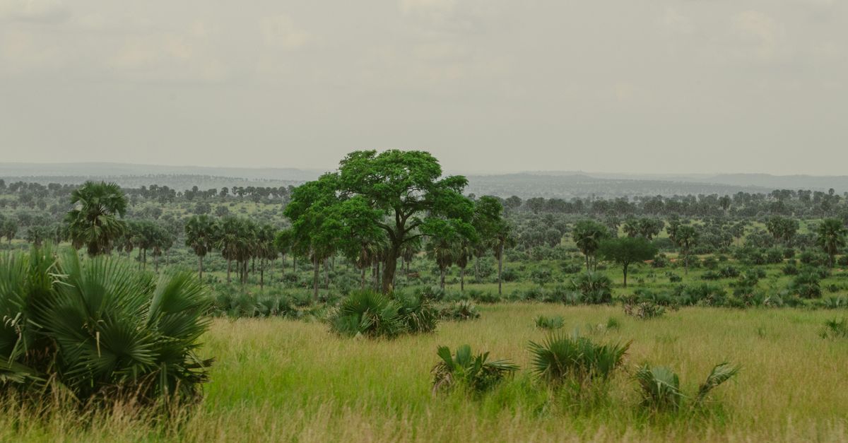 Uganda: por qué infraestructura y energía son claves para industria local Uganda: por qué infraestructura y energía son claves para industria local