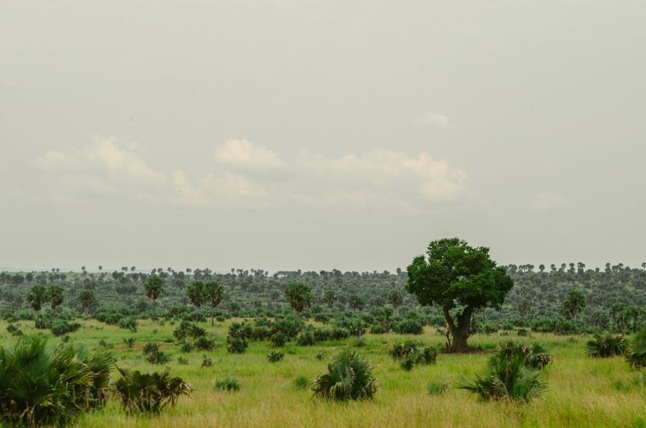 Immigrer en Togo avec une famille : ce qu'il faut prévoir