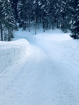 Scenic winter pathway through snow-covered forest in Schliersee, Germany.