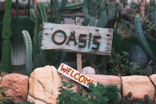 Free Charming rustic signboard reading 'Oasis Welcome' amidst lush cacti and stones. Stock Photo