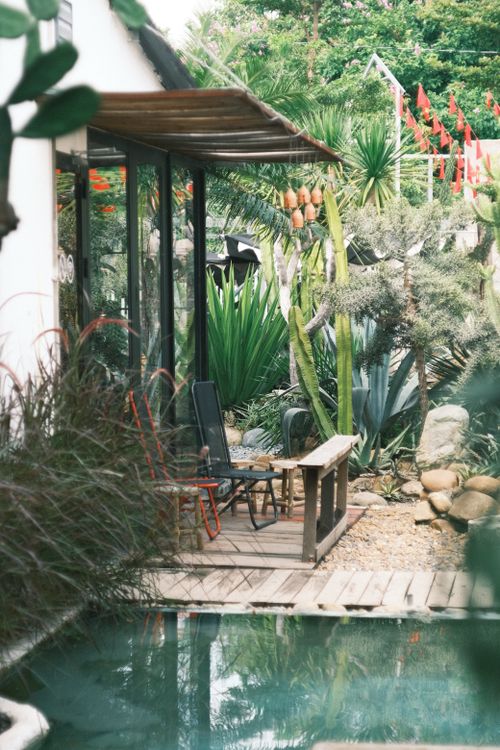 Free A serene tropical patio with lush cactus plants and a tranquil pool setting. Stock Photo