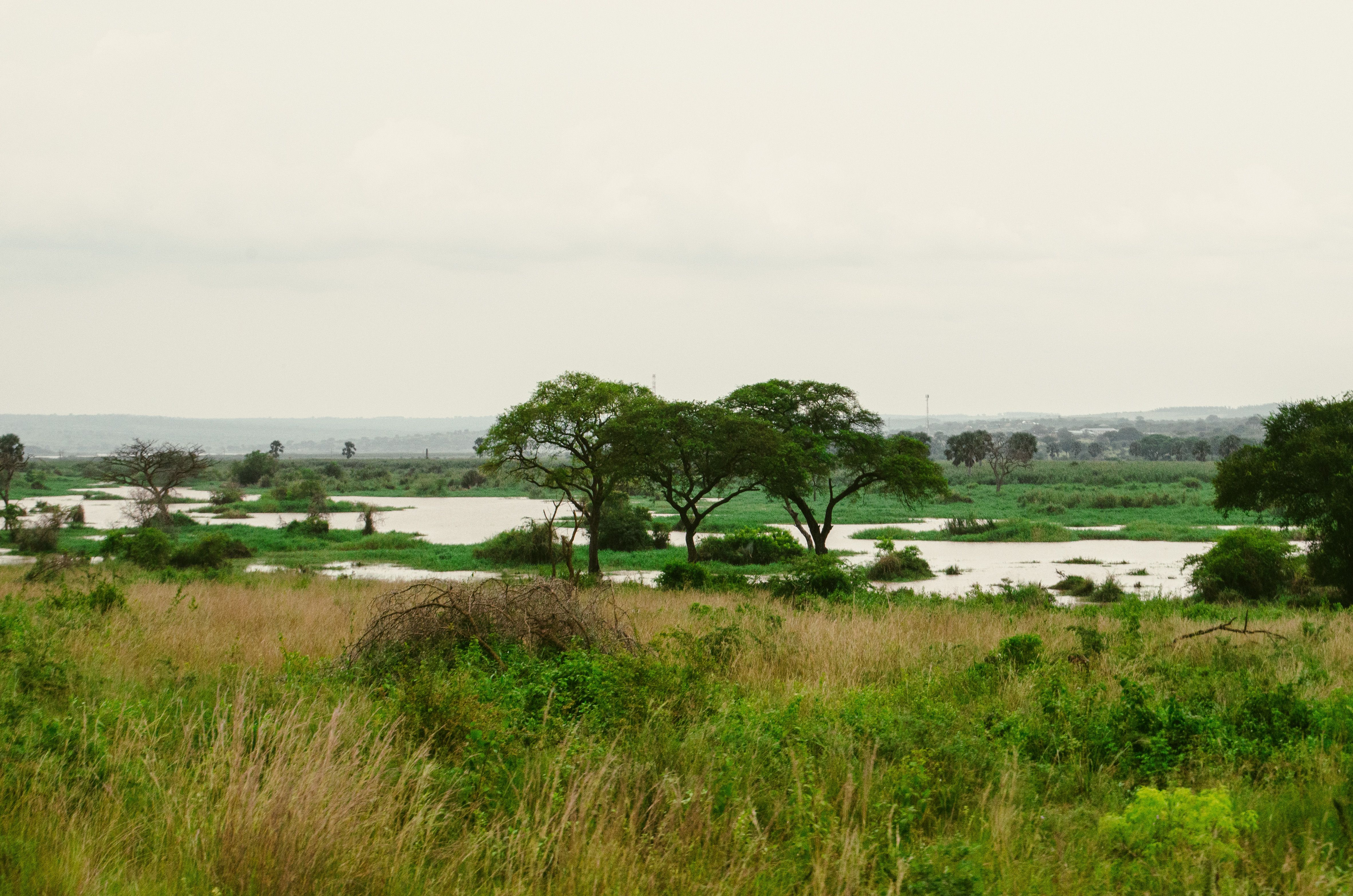 Gorongosa National Park