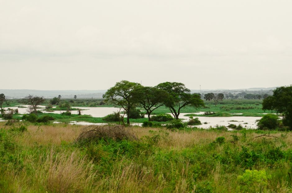 Loango National Park, Gabon - travel photo