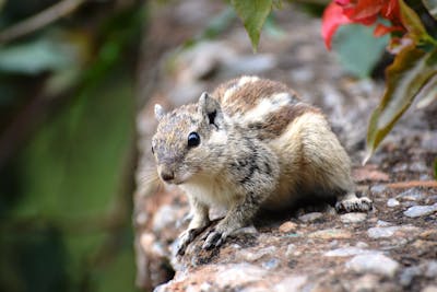 Indian Boob Press Photos, Download The BEST Free Indian Boob Press