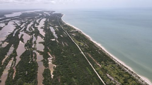 Free CELESTUN, YUCATAN MEXICO Stock Photo