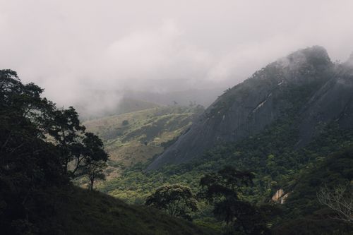 Free Serene view of misty mountains and lush forests under a cloudy sky. Stock Photo