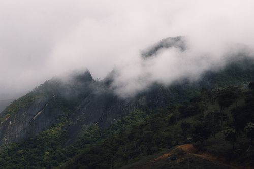 Free Fog envelops a lush mountain range, creating a mysterious and captivating landscape view. Stock Photo