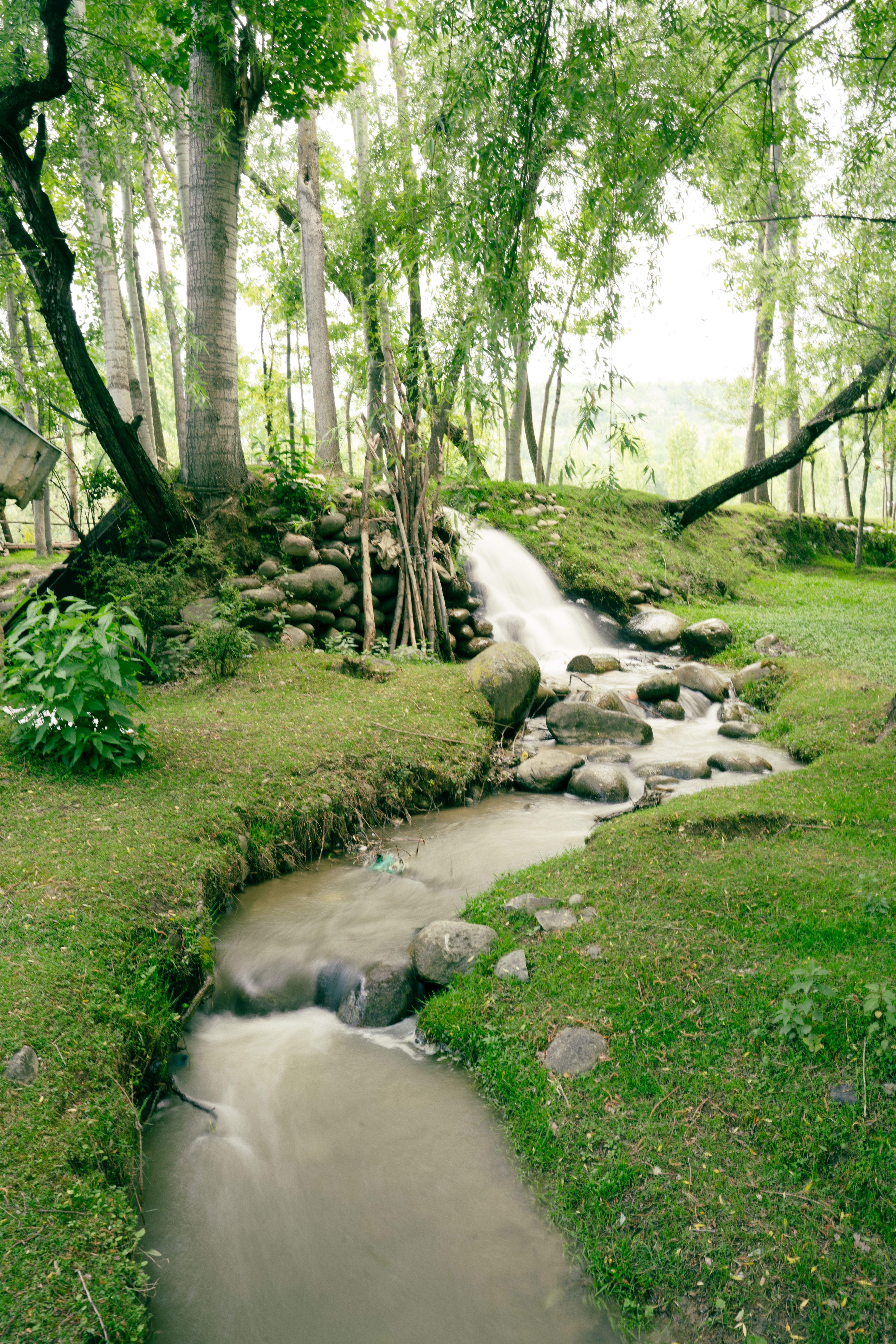 Tranquil Forest Waterfall in Badgam · Free Stock Photo