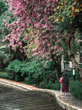 A peaceful walk under vibrant pink blossoms next to a tranquil pond, embodying nature's calm beauty.