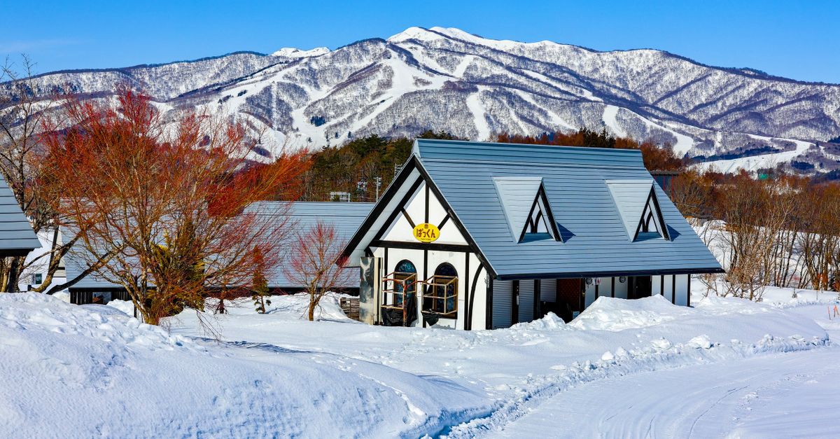 日本滑雪界的故事:近藤心音的告白引發關注 日本滑雪界的故事:近藤心音的告白引發關注