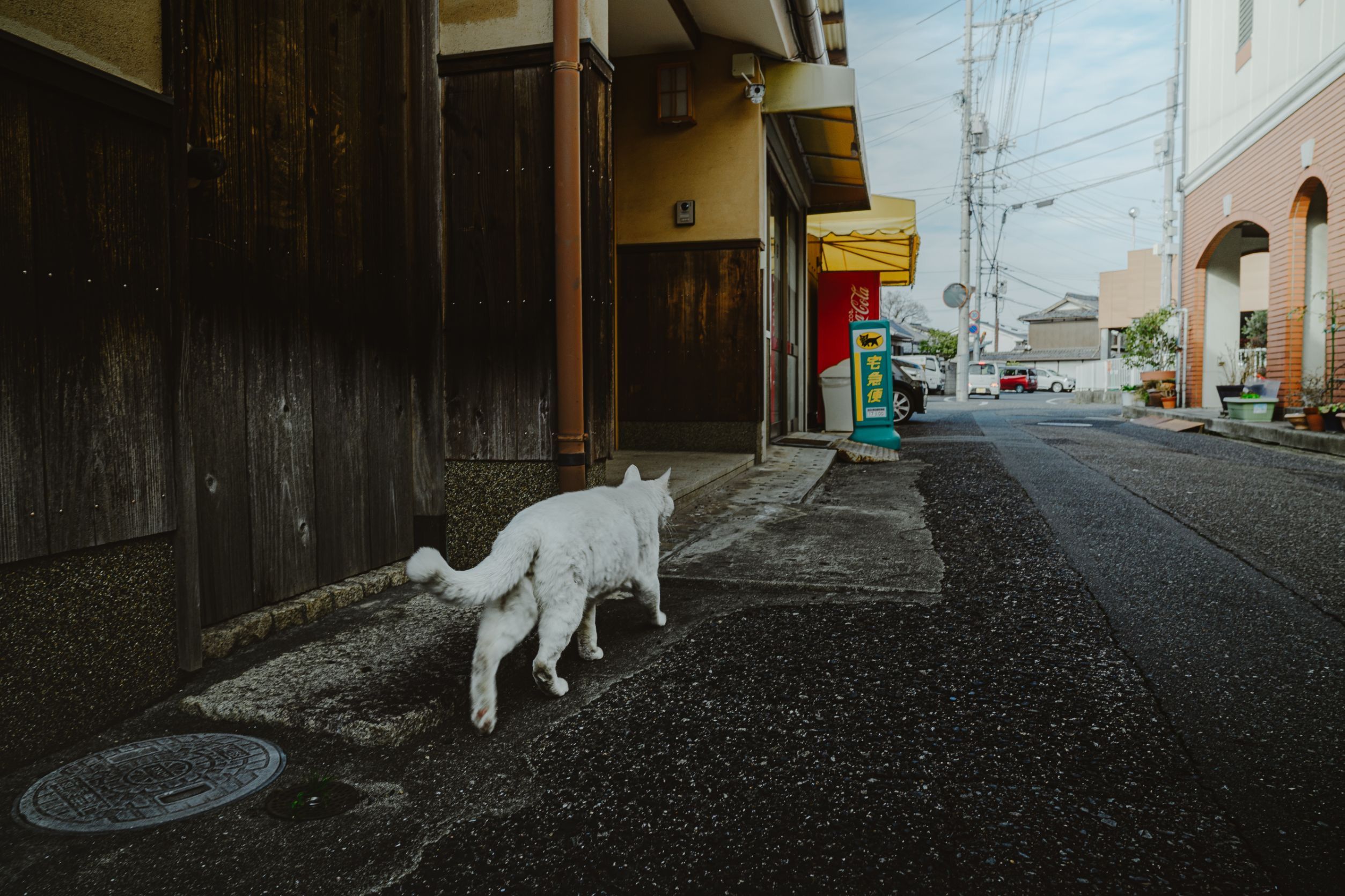 Off the Beaten Path in Tokyo: 15 Secret Spots & Unique Experiences for 2026