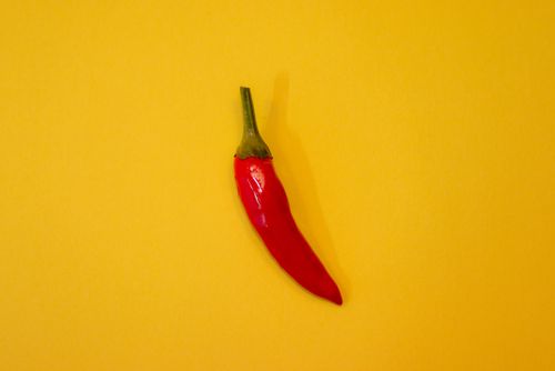 Free A single red chili pepper isolated on a vibrant yellow background, showcasing freshness and spice. Stock Photo