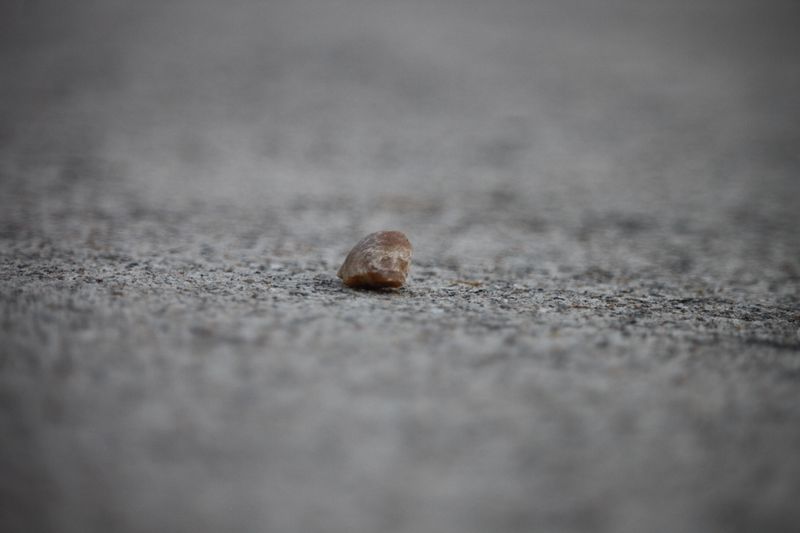 The Snowball Effect: How Cross-Pollination Hacks Social Growth — MultiPost blog